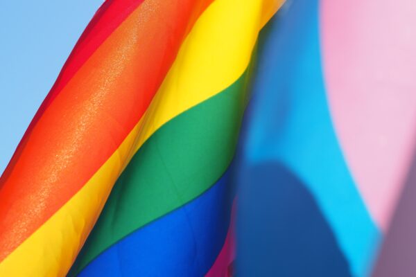 lgbtq flag, trans flag