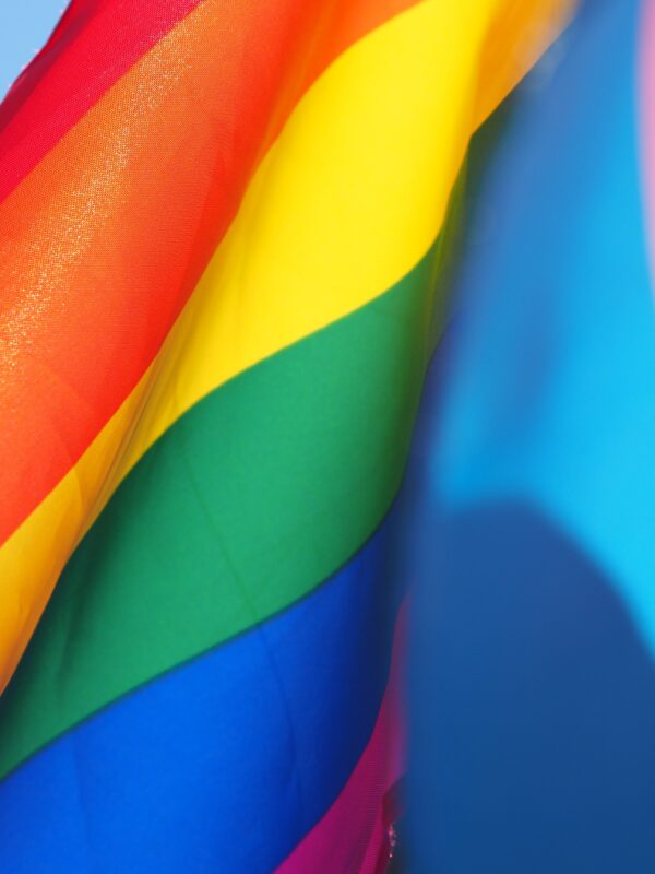 lgbtq flag, trans flag