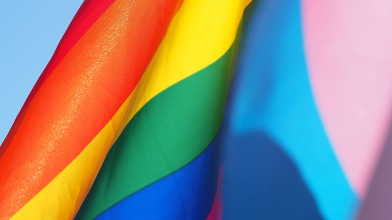 lgbtq flag, trans flag