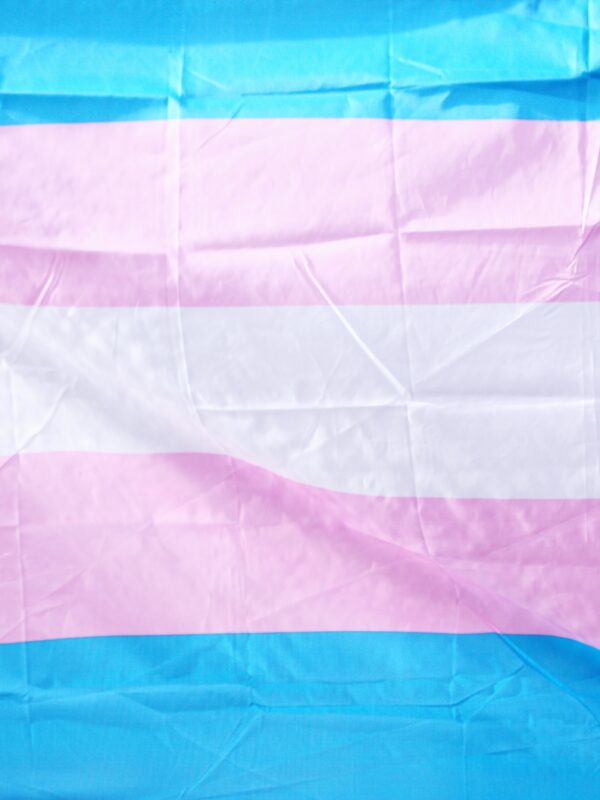 trans, transgender, flag
